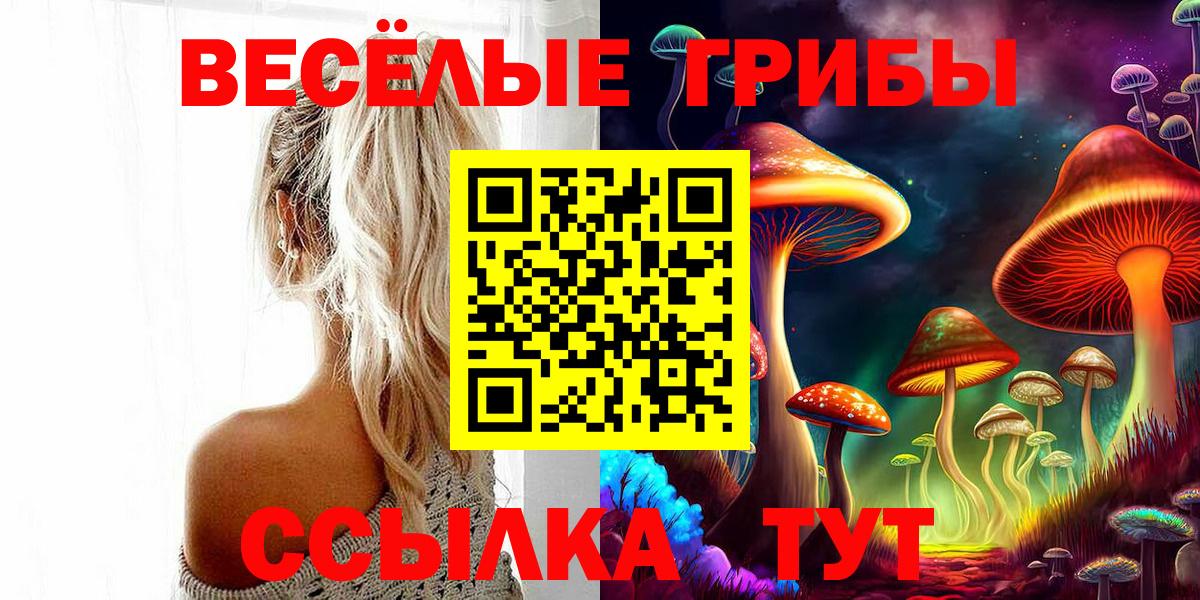 Галлюциногенные грибы MAGIC MUSHROOMS  Вход с VPN  Партизанск 